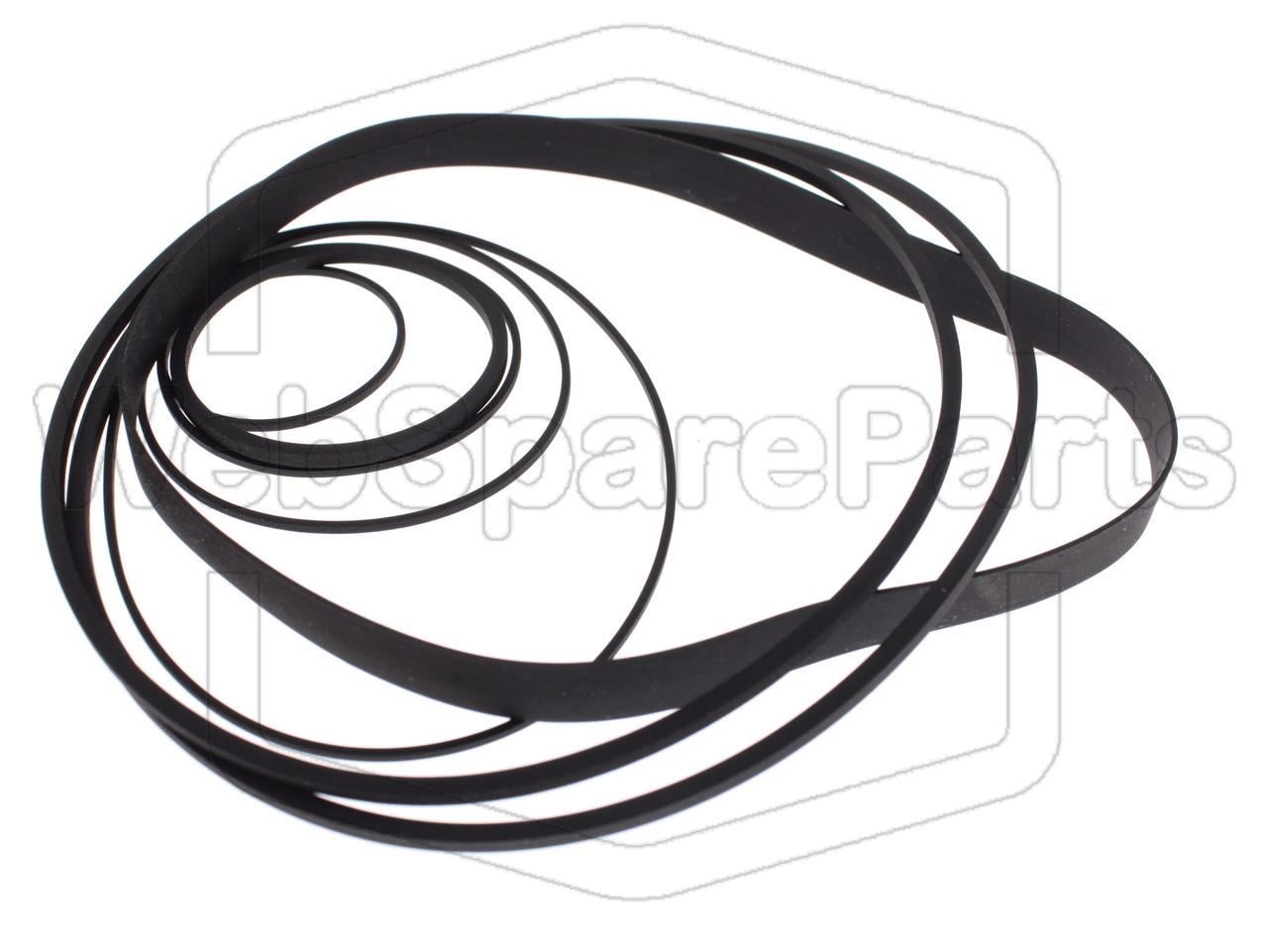 Kit cinghie per videoregistratore Telerent N-8001T