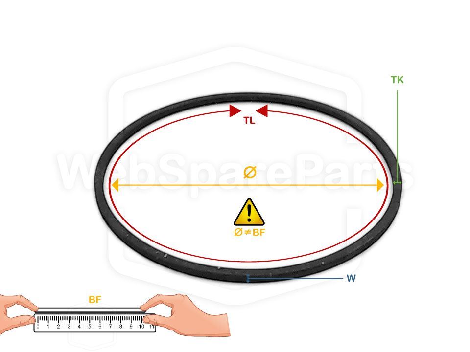 Ø 031.0 mm x 1.2 mm Cinghia audio quadrata